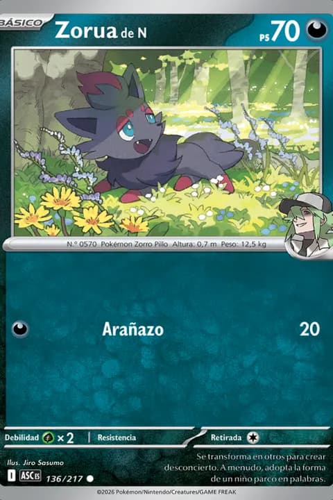 Zorua de N