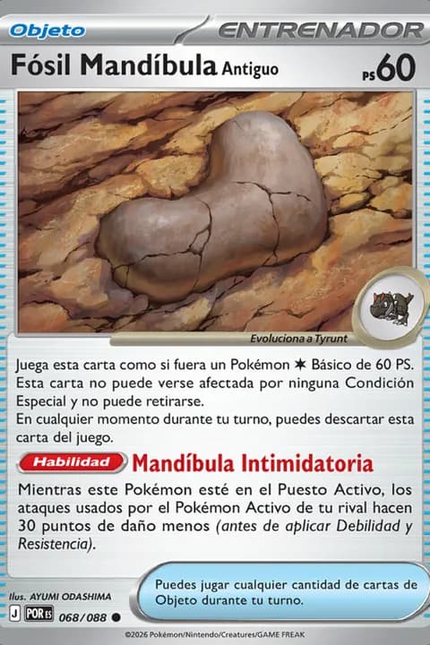 Fósil Mandíbula Antiguo