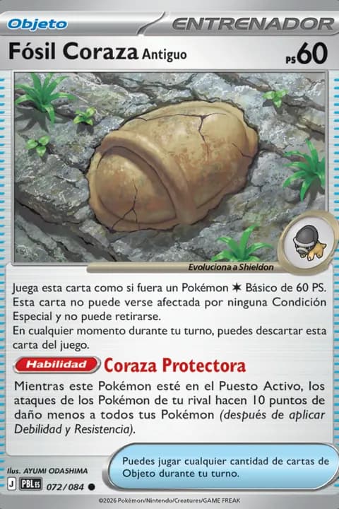 Fósil Coraza Antiguo